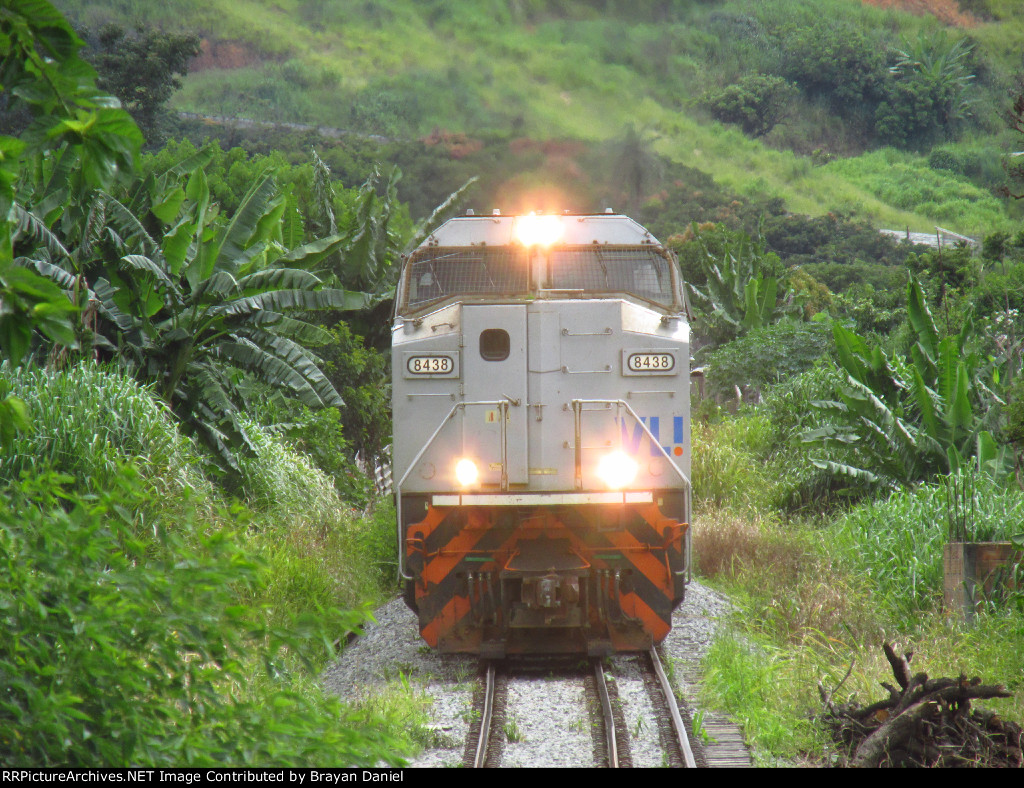 VLI 8438